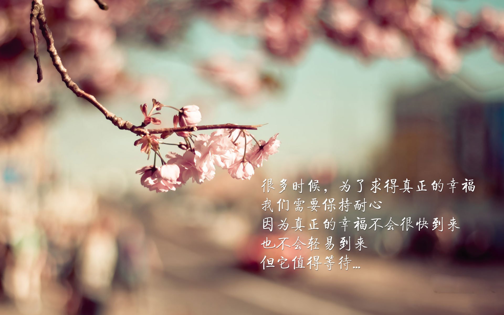 亚特兰大攻势如潮,连续获胜,亚特兰大 首发