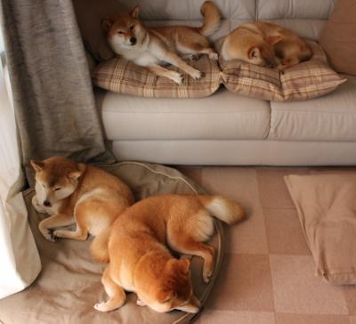 乌帕梅卡诺续约拜仁慕尼黑,乌帕梅卡诺 拜仁