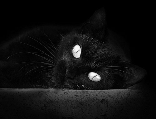 开云中国-意甲关键战，专家点评技术细节，意甲战况