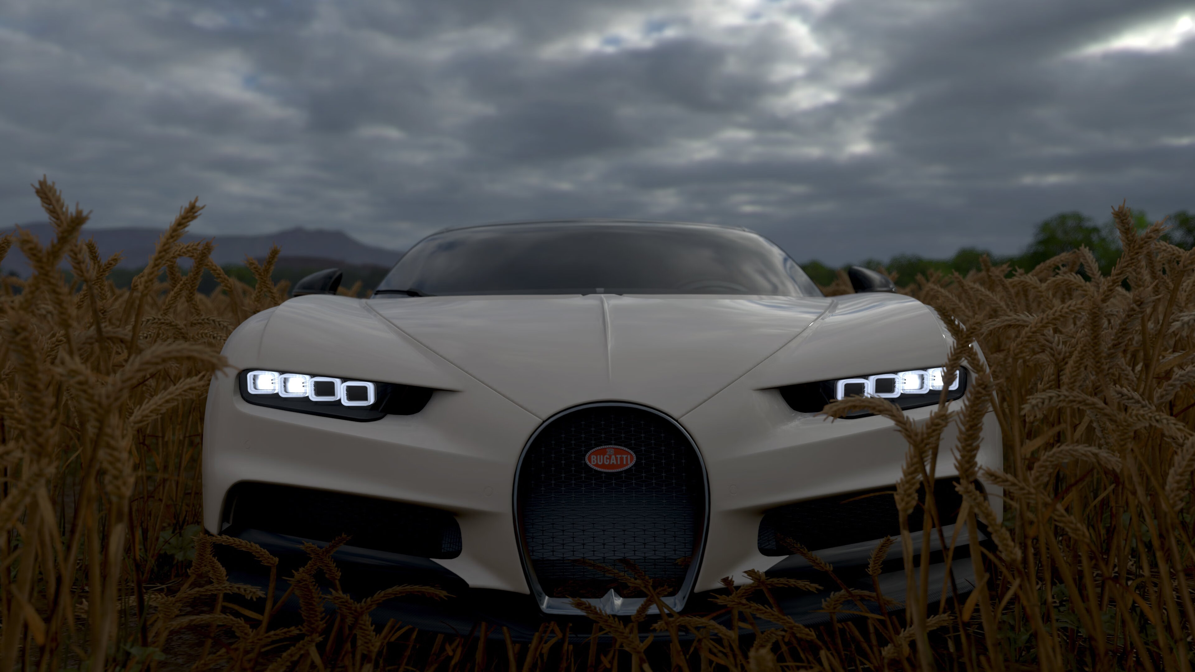 数字化青训“全流程”平台在行业内全面推广,行业效率显著提升