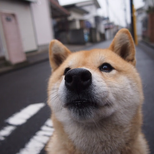 梅西带领阿根廷加时击败哥伦比亚,捧杯,梅西为阿根廷出战