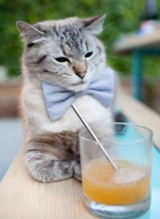 开云网站-足球电视栏目改版后收视率节节攀升，足球电视频道节目表