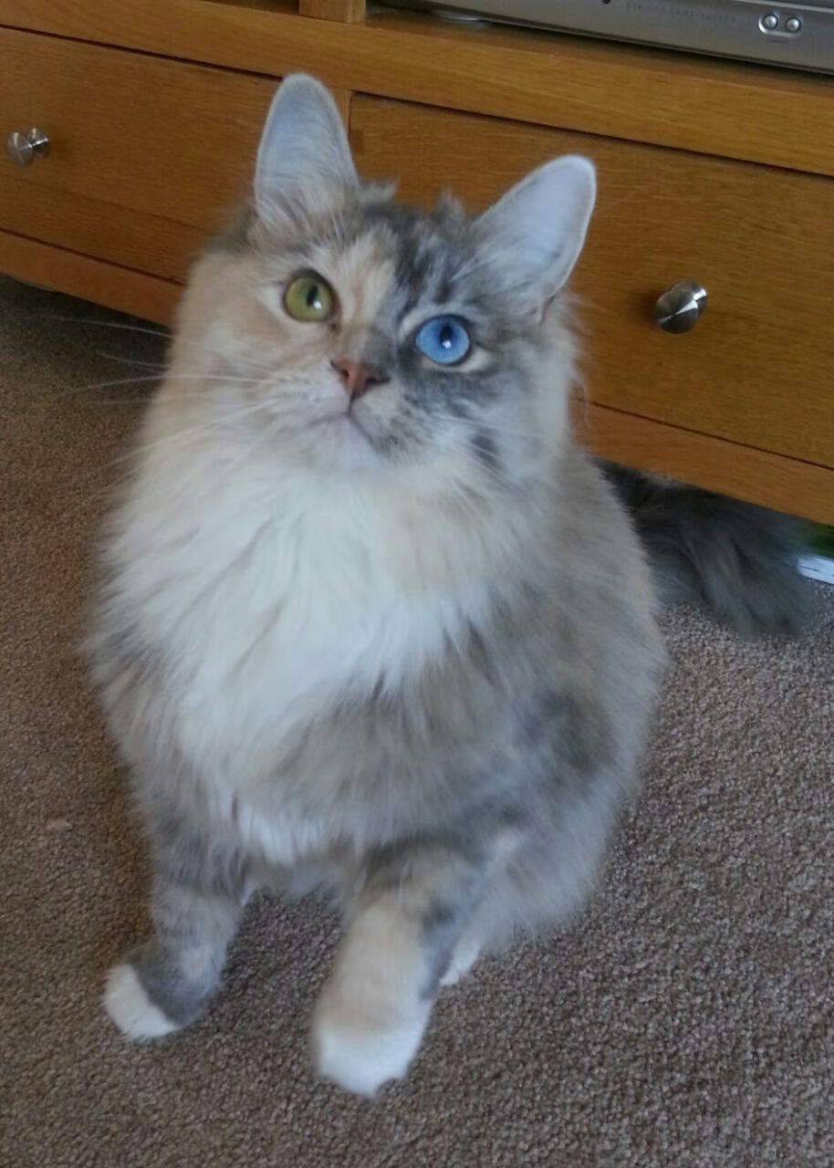 KAIYUN 中国大陆-马赛新援接连破门，激活攻防两端火力，马赛一大