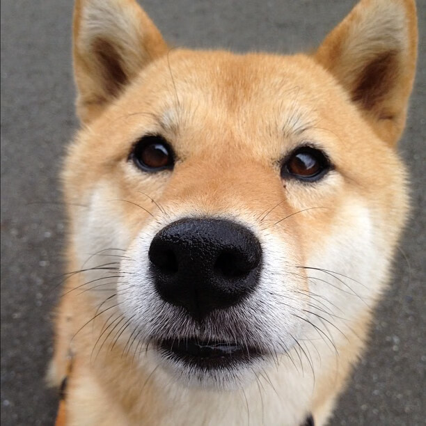 青少年足球运动融入多元文化,助推体育多样性发展,开展青少年足球运动的意义