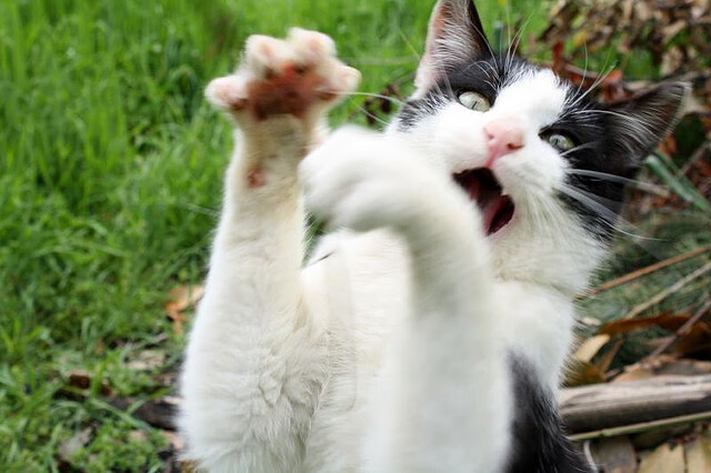 青训专业技术交流会在京举行,促进行业深度合作与发展模式创新