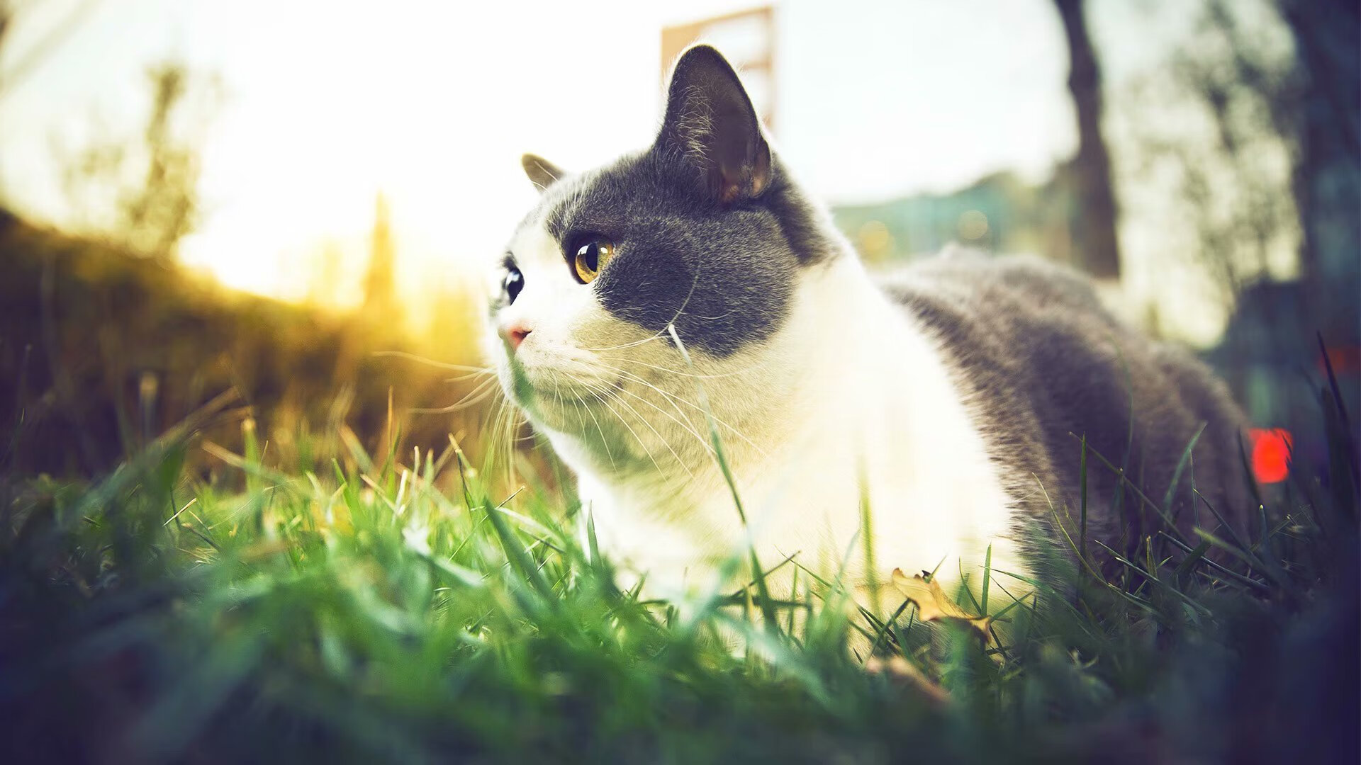 Gen.G赛事运营能力持续提升,赛事运营前景