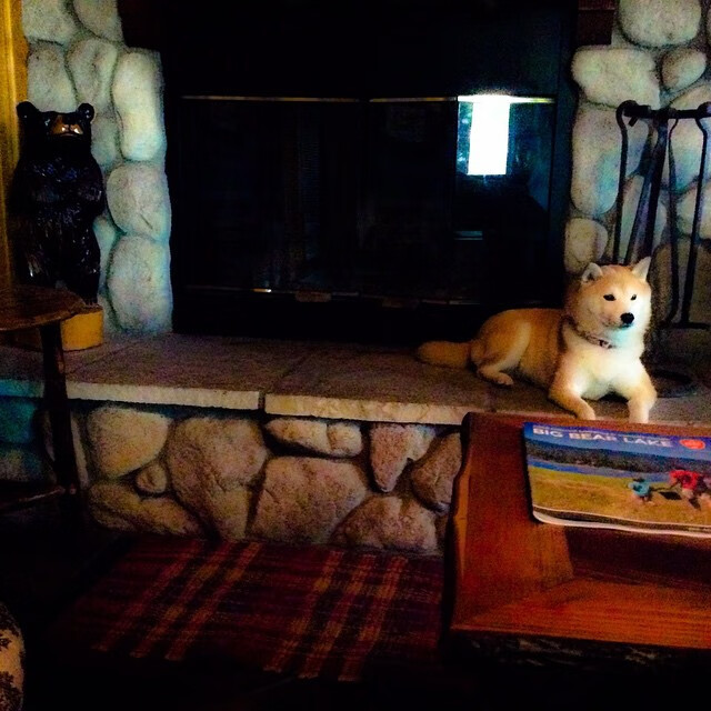 Gen.G选手转会合同细节披露,选手转会费