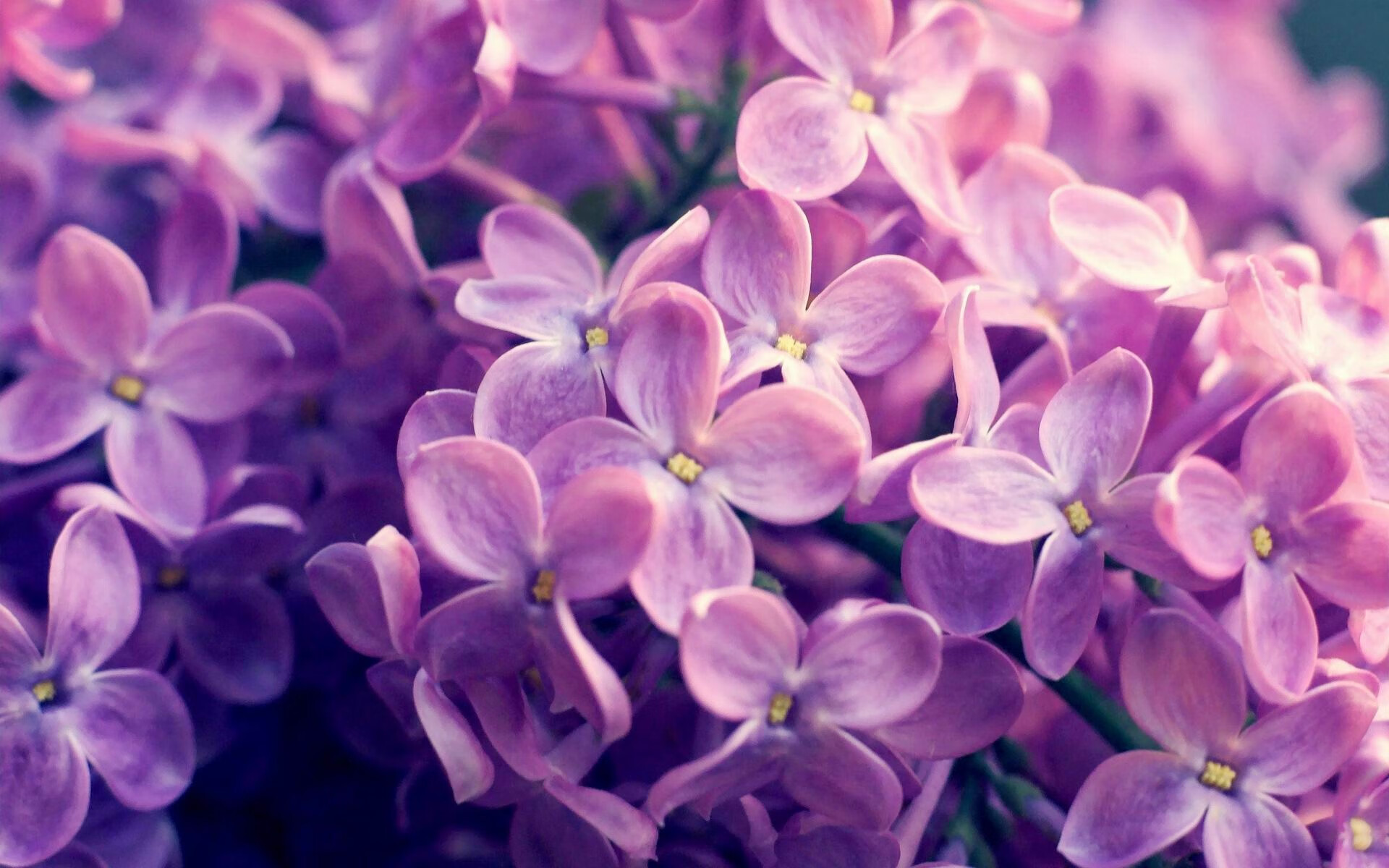 开云体育APP下载-FaZe选手勇夺堡垒之夜周赛冠军，堡垒之夜杯赛