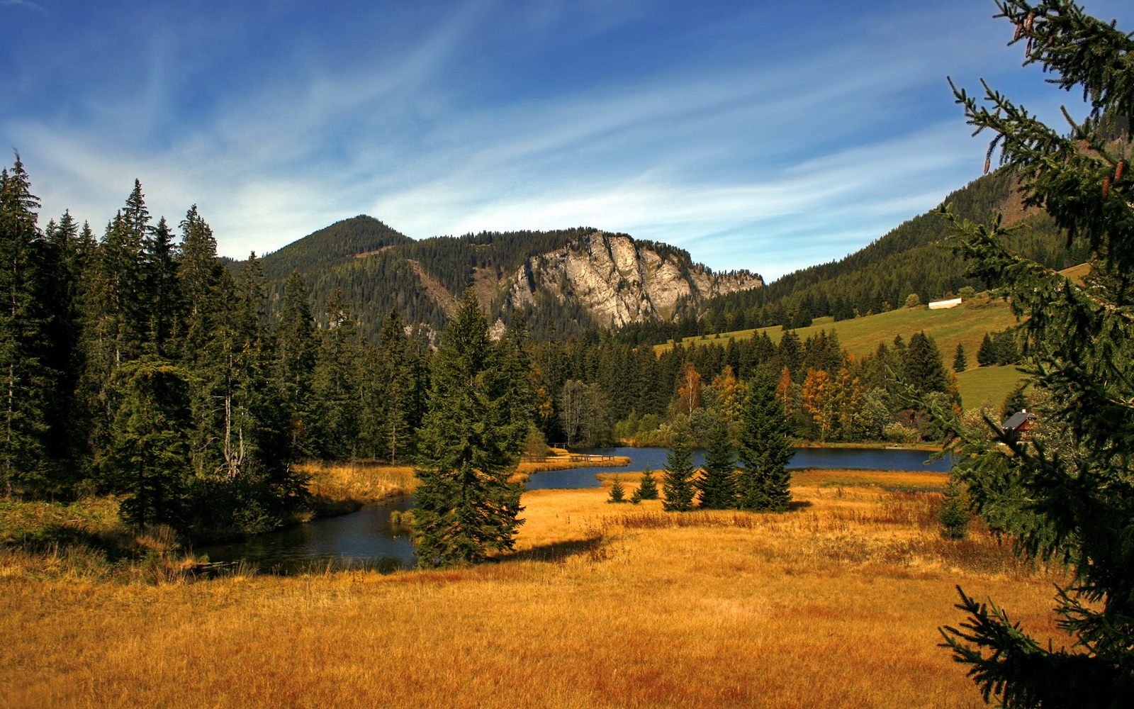 开云网页版登录入口-利兹联攻击火力全开，欧冠名额成为目标，利兹联阵容2020