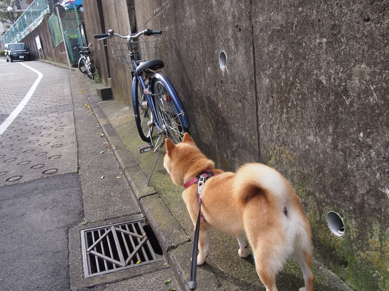 利物浦冬季转会突袭,巴萨神锋或加盟红军,利物浦惊天大逆转巴萨