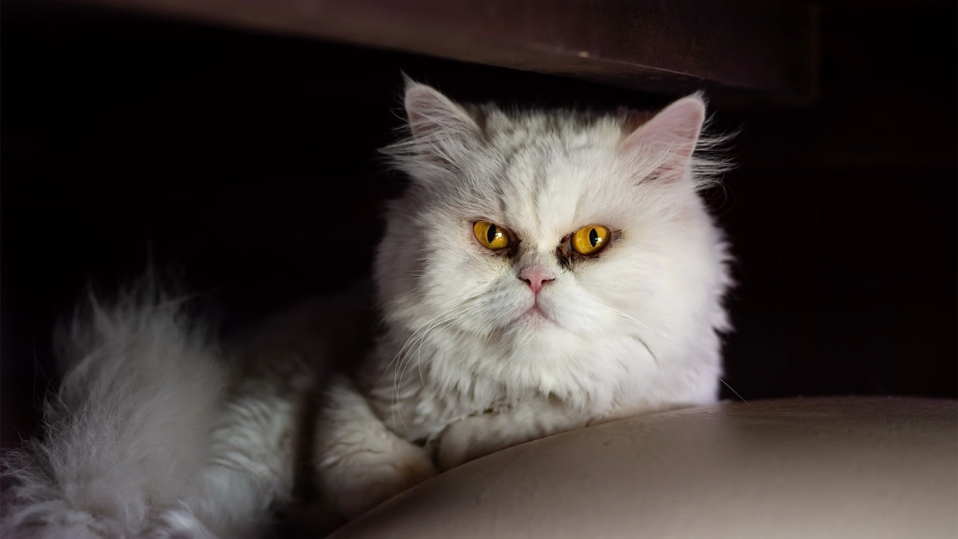 利物浦主帅透露战术变动，球队或将出现新风格，利物浦的主帅